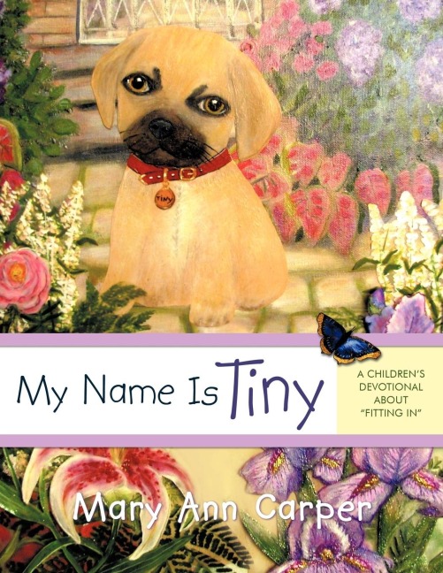 My Name Is Tiny: A Childrens Devotional about Fitting In