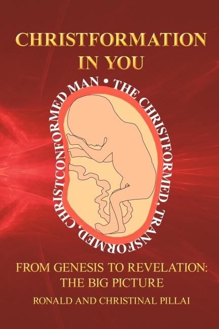 Christformation in You: From Genesis to Revelation: The Big Picture