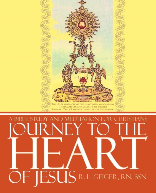 Journey to the Heart of Jesus: A Bible Study and Meditation for Christians
