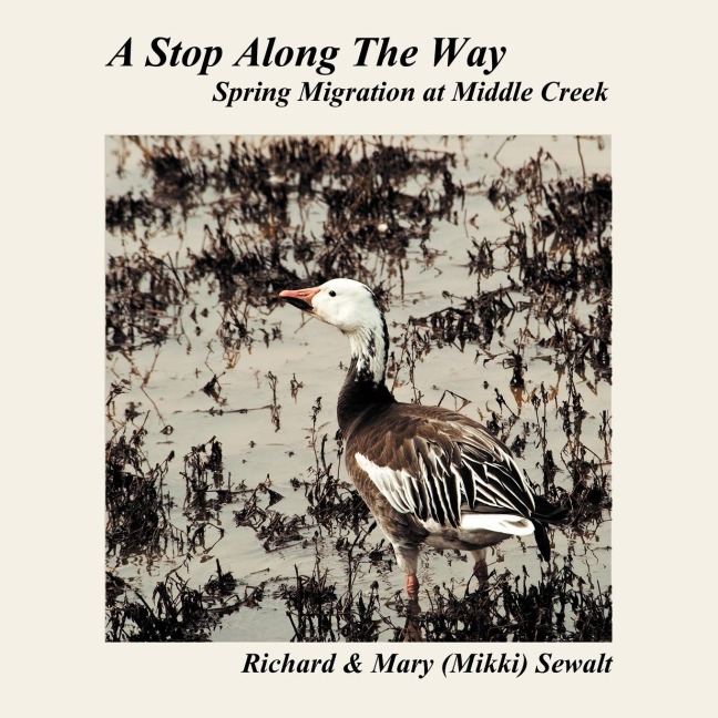 A Stop Along The Way: Spring Migration at Middle Creek