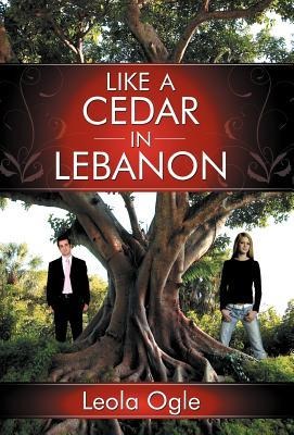 Like a Cedar in Lebanon