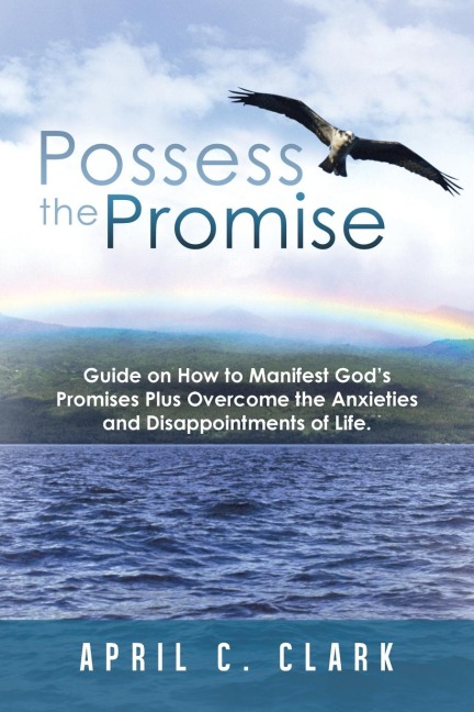 Possess the Promise: Guide on How to Manifest Gods Promises Plus Overcome the Anxieties and Disappointments of Life.