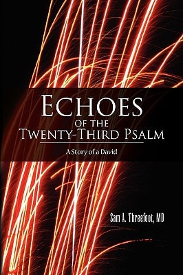 Echoes of the Twenty-Third Psalm A Story of a David