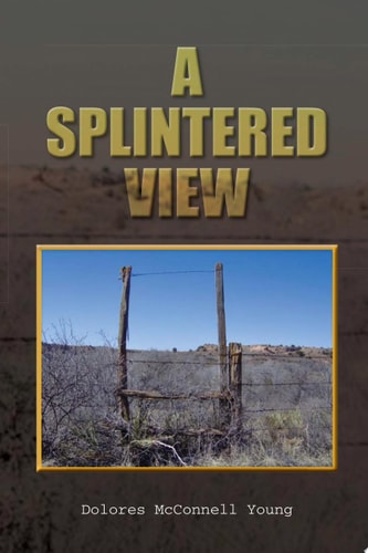 A Splintered View