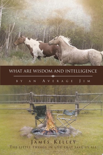 What Are Wisdom and Intelligence