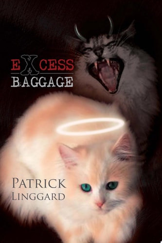 Excess Baggage
