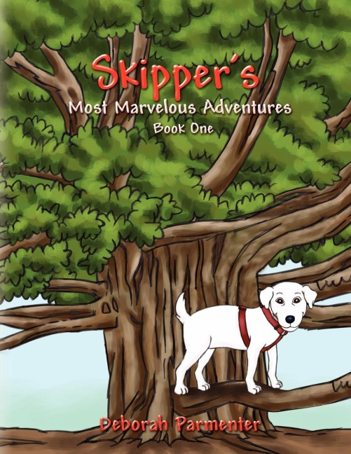 Skippers Most Marvelous Adventures Book One