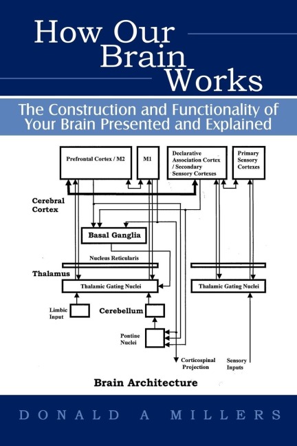 How Our Brain Works: The Construction and             Functionality of Your Brain Presented and Explained