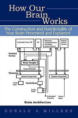 How Our Brain Works The Construction and Functionality of Your Brain Presented and Explained