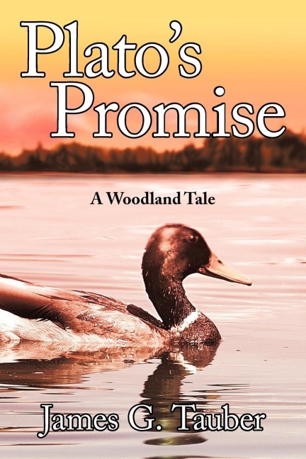 Platos Promise