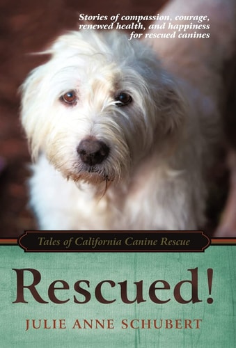 Rescued! Tales of California Canine Rescue