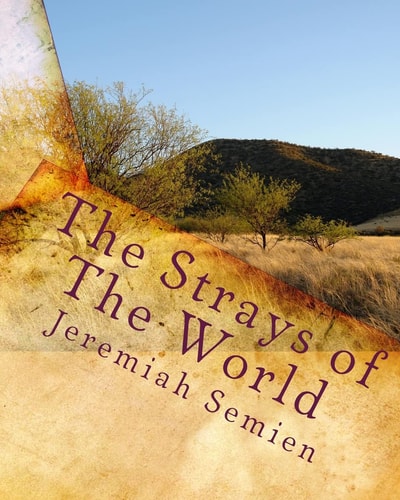 The Strays of The World