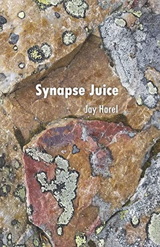 Synapse Juice Poetry for the Inquisitive Mind