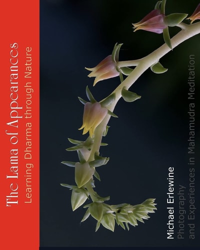 The Lama of Appearances Learning Dharma Through Nature