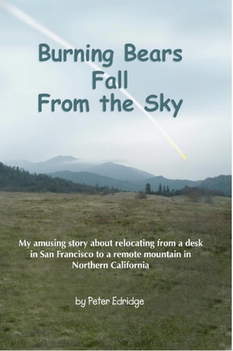Burning Bears Fall from the Sky My Amusing Story about Relocating from a Desk in San Francisco to a Remote Mountain in Northern California