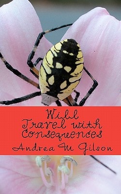 Will Travel With Consequences