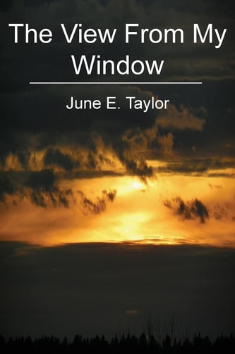 The View From My Window Carcinoid Cancer and Me