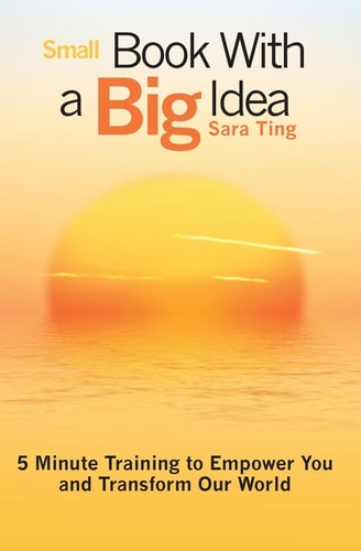 Small Book with a Big Idea 5 Minute Training to Empower You and Transform Our World