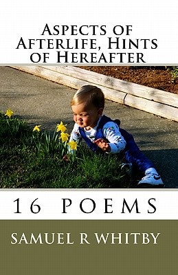 Aspects of Afterlife, Hints of Hereafter