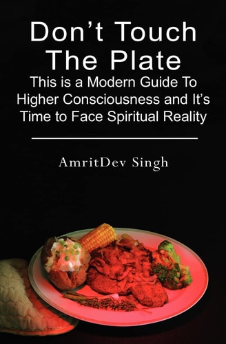 Don't Touch The Plate This is a Modern Guide To Higher Consciousness and It's Time to Face Spiritual Reality