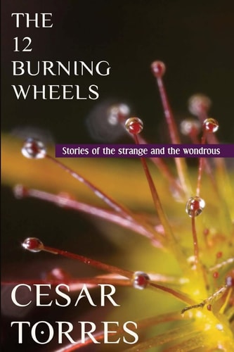 The 12 Burning Wheels