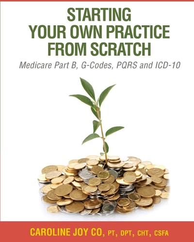 Starting Your Own Practice from Scratch A Guide for Chiropractors, Occupational Therapists and Physical Therapists