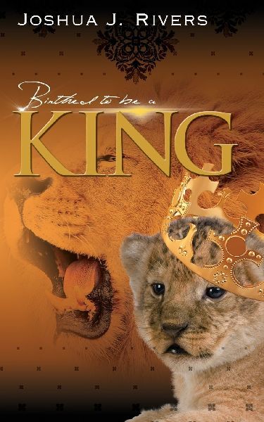 Birthed to be a King: A Young Mans Guide to Conquering his Environment