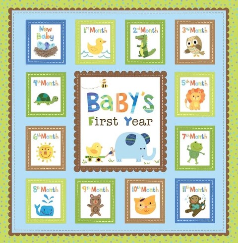 Babys First Year