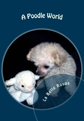 A Poodle World