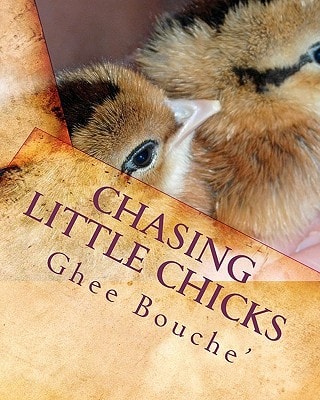 Chasing Little Chicks