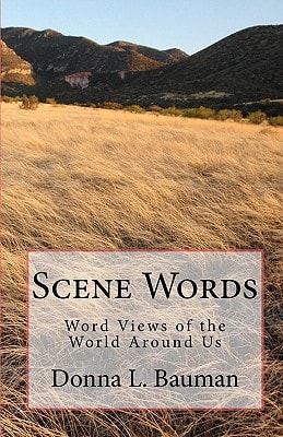 Scene Words Word Views of the World Around Us
