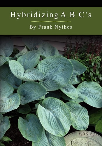 Hybridizing A B C's