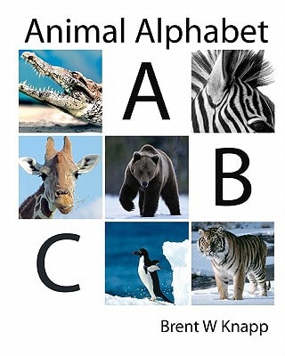 Animal Alphabet From Alligator to Zebra