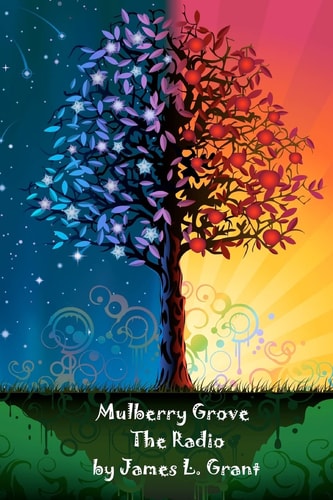 Mulberry Grove The Radio