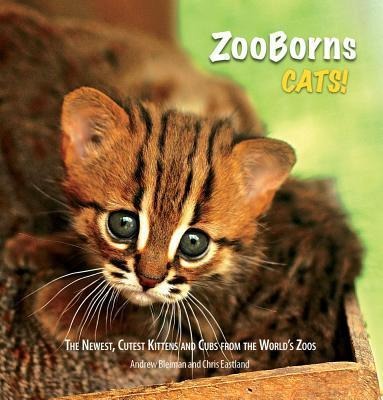 ZooBorns Cats!: The Newest, Cutest Kittens and Cubs from the Worlds Zoos