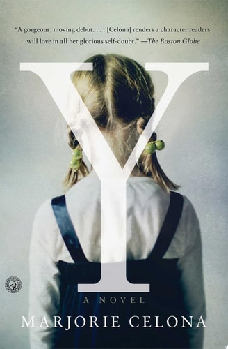 Y A Novel