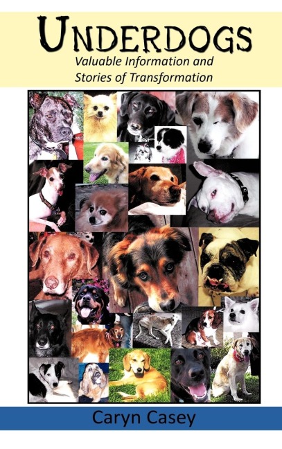 Underdogs: Valuable Information and Stories of Transformation