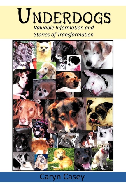 Underdogs: Valuable Information and Stories of Transformation