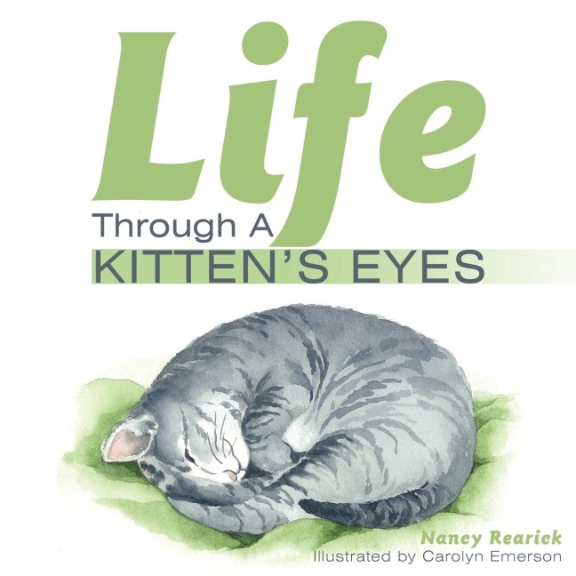 Life Through a Kittens Eyes