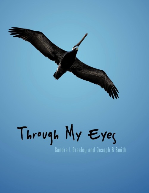 Through My Eyes