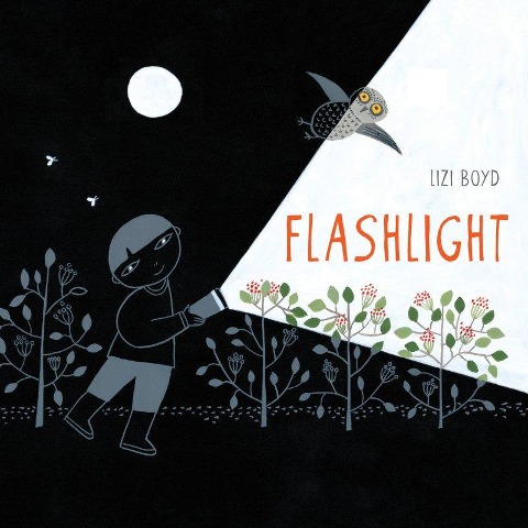 Flashlight: (Picture Books, Wordless Books for Kids, Camping Books for Kids, Bedtime Story Books, Childrens Activity Books, Childrens Nature Books)
