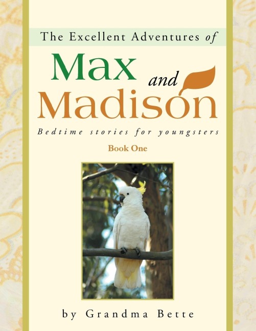 The Excellent Adventures of Max and Madison: Bedtime Stories for Youngsters