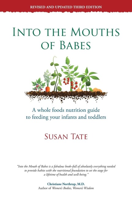 Into the Mouths of Babes: A Whole Foods Nutrition Guide to Feeding Your Infants and Toddlers