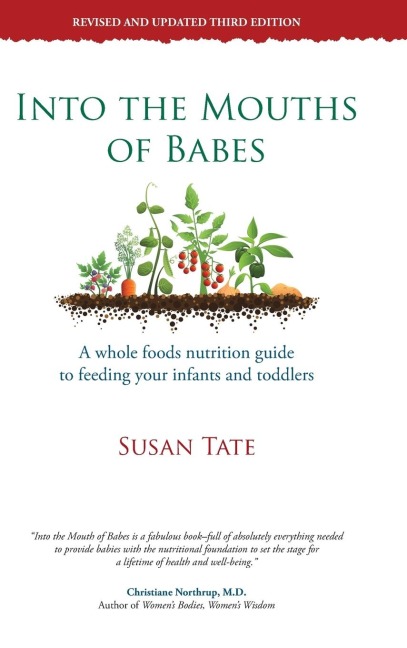 Into the Mouths of Babes: A Whole Foods Nutrition Guide to Feeding Your Infants and Toddlers