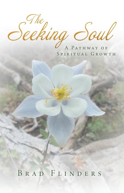 The Seeking Soul: A Pathway of Spiritual Growth