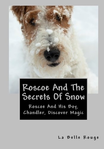 Roscoe and the Secrets of Snow Roscoe and His Boy Chandler Discover Magic