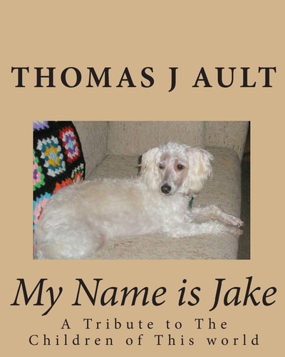 My Name Is Jake A Tribute to the Children of This World