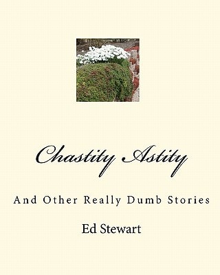 Chastity Astity And Other Really Dumb Stories