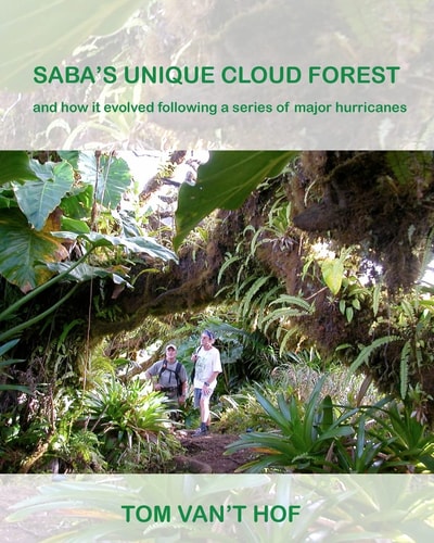 Saba's Unique Cloud Forest And How It Evolved During a Series of Major Hurricanes
