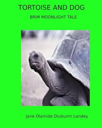 Tortoise And Dog Brim Moon Light Tale